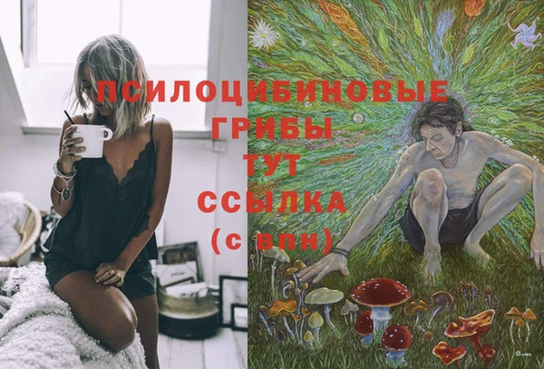 дурь Лагань