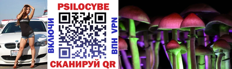 Псилоцибиновые грибы Cubensis  кракен зеркало  Новоуральск 