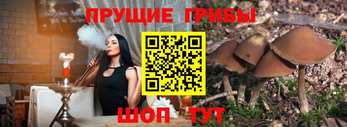 Галлюциногенные грибы мухоморы  Галлюциногенные грибы Psilocybine cubensis  Новоуральск  Вход с VPN 