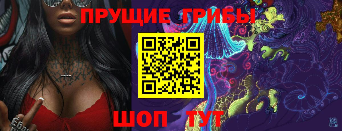 Галлюциногенные грибы Psilocybe Новоуральск