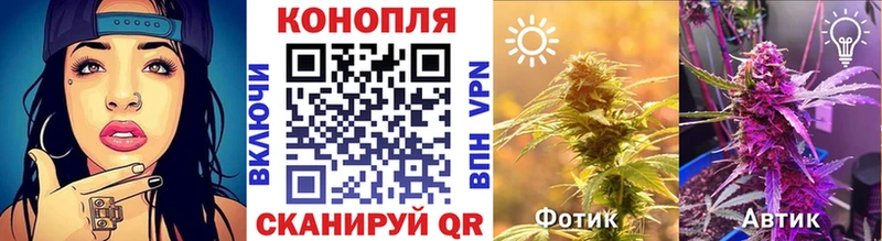 Бошки марихуана тримм  хочу наркоту  Новоуральск 